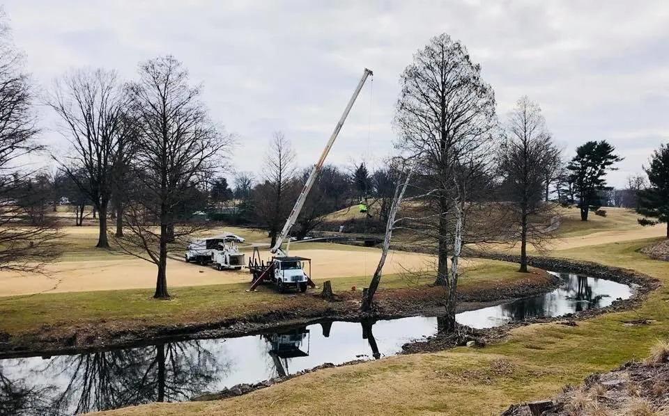 Expert landscaping services for homes across Louisville, KY - Bob Ray