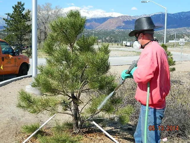 Trusted landscape installation with custom design across Colorado Springs, CO - Bob Rundo Tree Surgeon