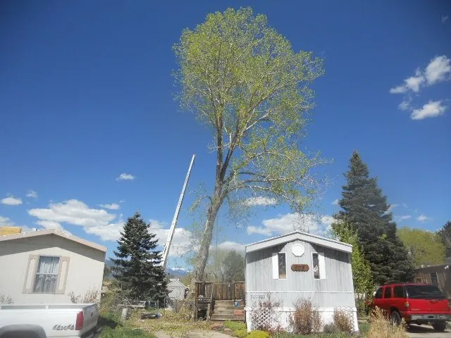 Expert outdoor landscaping for homes in Colorado Springs, CO by Bob Rundo Tree Surgeon