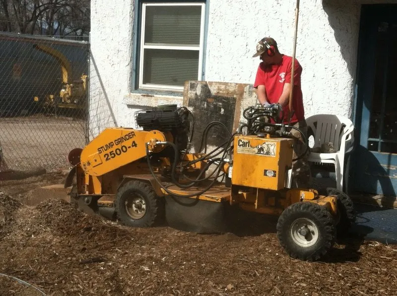 Affordable residential landscaping experts serving Colorado Springs, CO - Bob Rundo Tree Surgeon