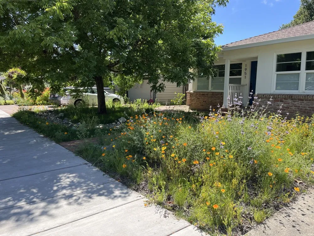 Top-rated lawn mowing service experts serving Sonoma, CA - Bob Schneider Eco Landscaping