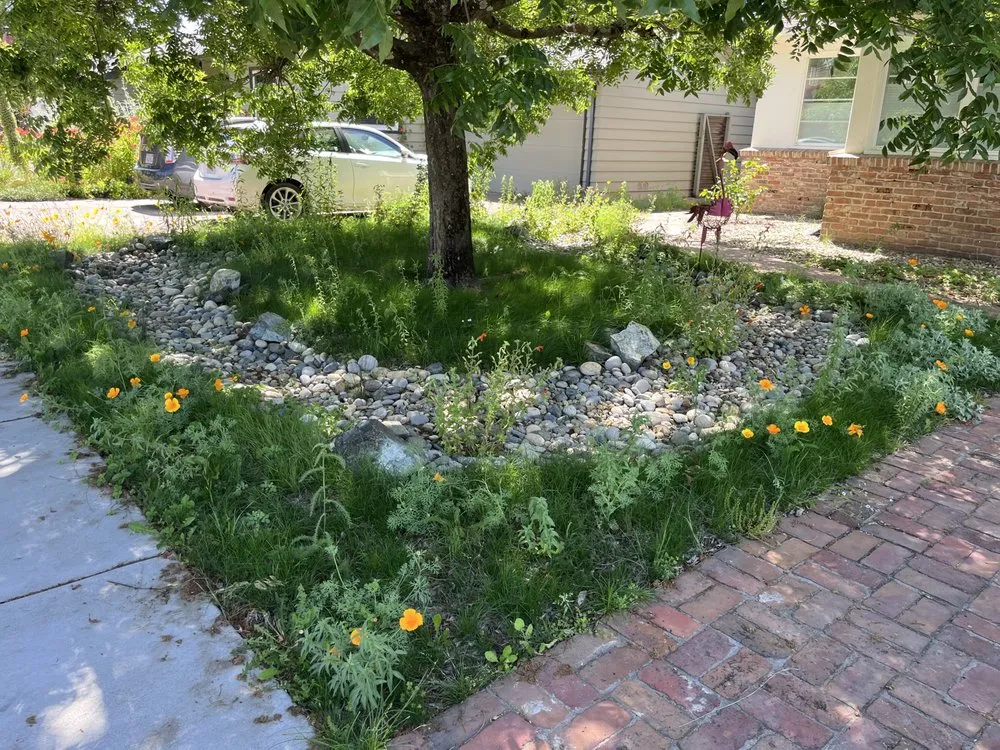 Local outdoor landscaping for year-round maintenance in Sonoma, CA by Bob Schneider Eco Landscaping