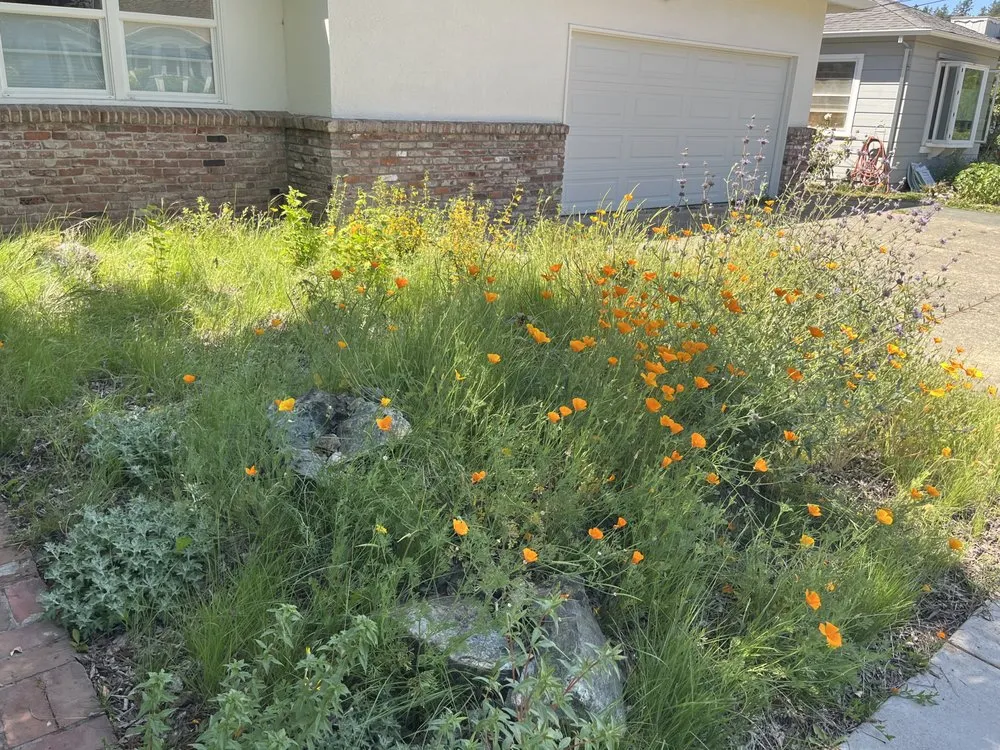 Expert lawn mowing service for outdoor upgrades in Sonoma, CA by Bob Schneider Eco Landscaping