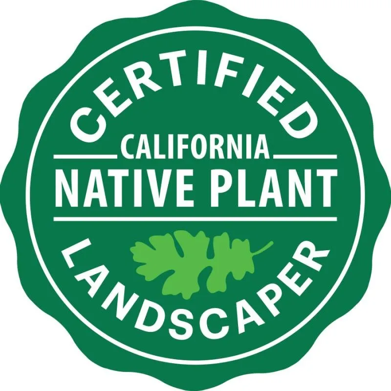 Custom yard cleanup service with custom design in Sonoma, CA by Bob Schneider Eco Landscaping