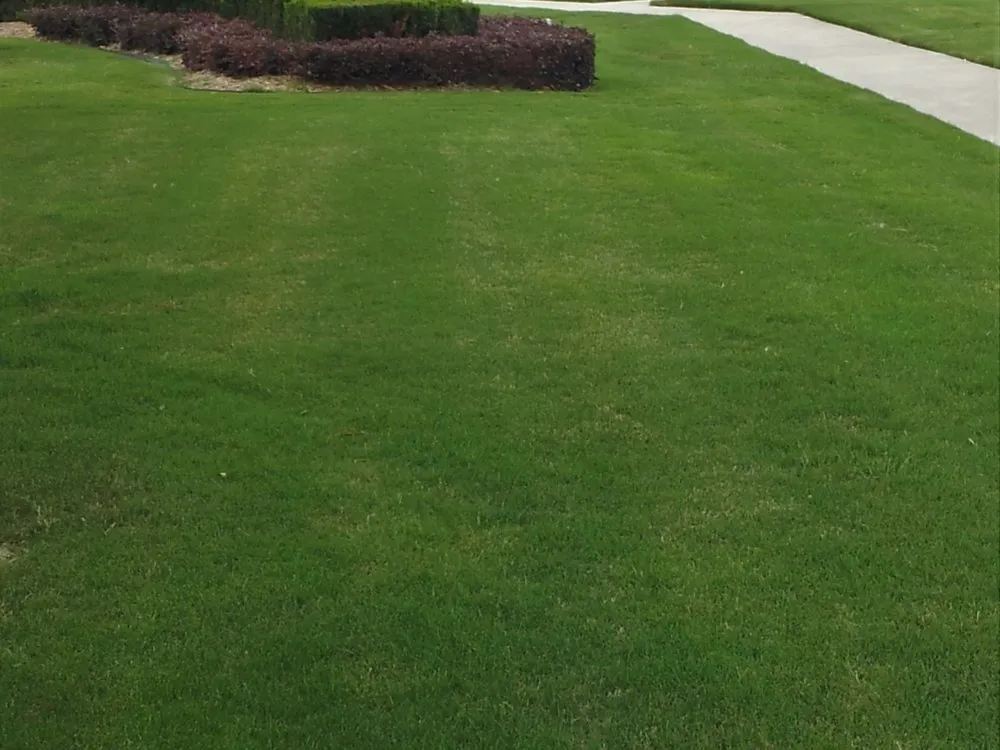 Expert residential landscaping experts serving Royse City, TX - Bob Short's LawnEnvy