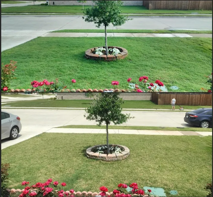 Expert landscaping services near you in Royse City, TX by Bob Short's LawnEnvy