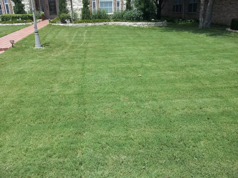 Trusted lawn care service in Royse City, TX - Bob Short's LawnEnvy
