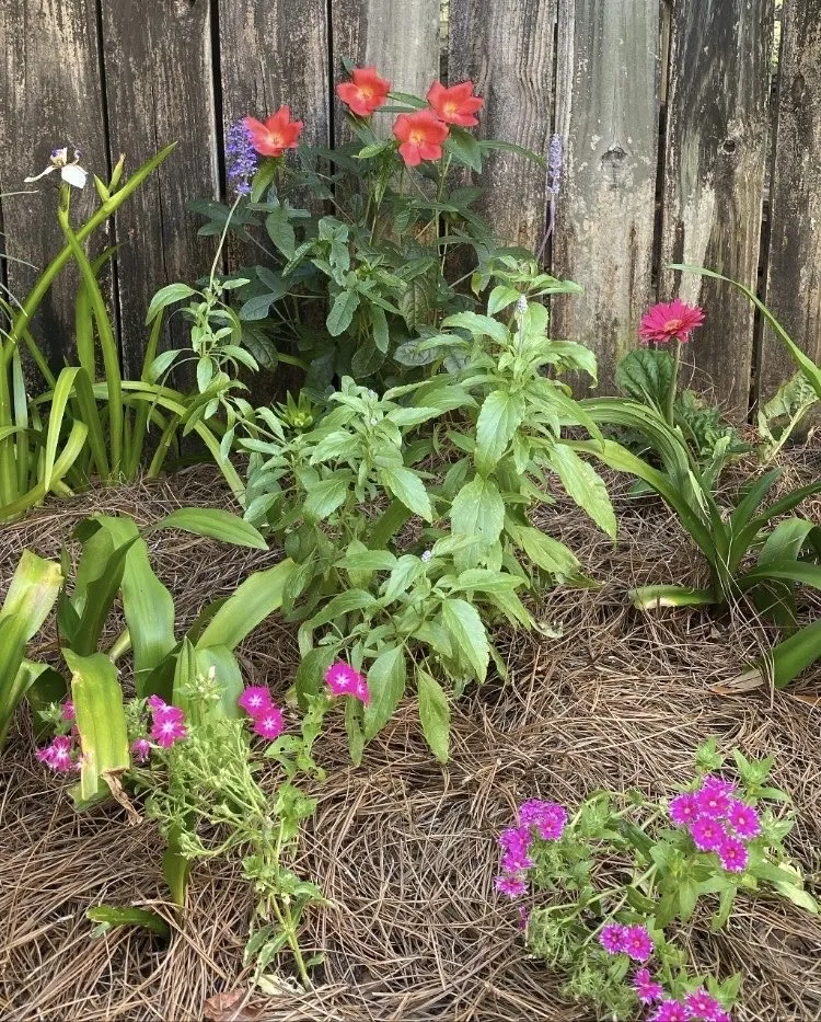 Expert landscape installation experts serving New Orleans, LA - Bobbi's Gardens