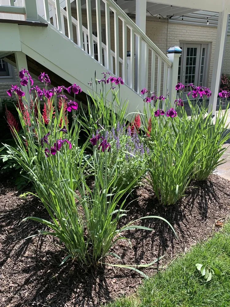 Expert yard maintenance in New Orleans, LA by Bobbi's Gardens