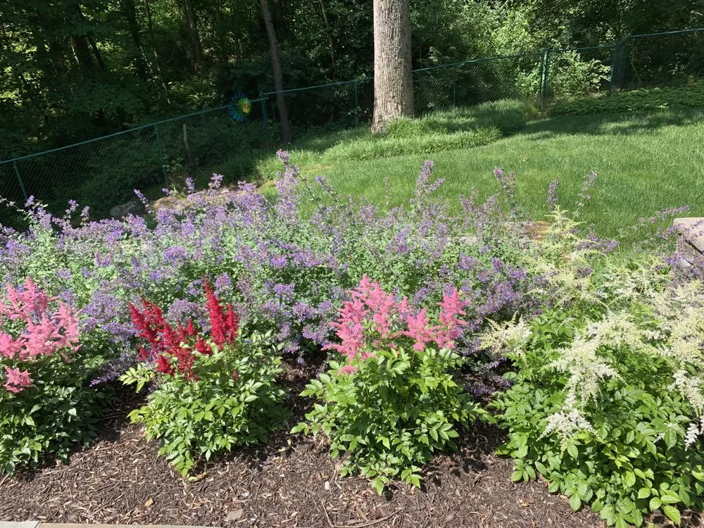 Professional residential landscaping for beautiful yards across New Orleans, LA - Bobbi's Gardens