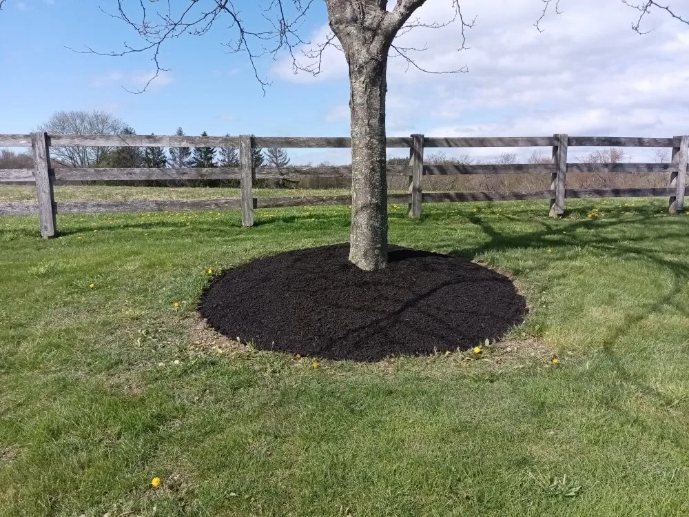 Expert lawn care service for residential properties across Beaver Falls, PA - Bobby Allon Landscaping