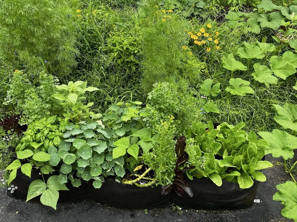 Reliable residential landscaping in Bethpage, NY - Bobby Bravo’s