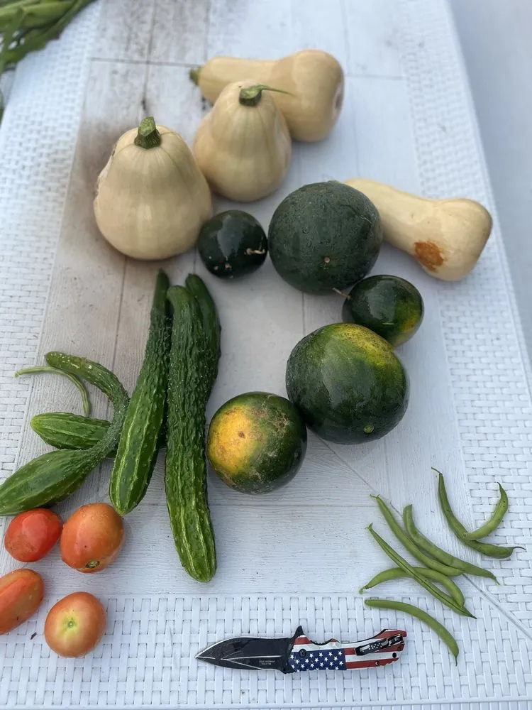 Custom lawn care service experts serving Bethpage, NY - Bobby Bravo’s