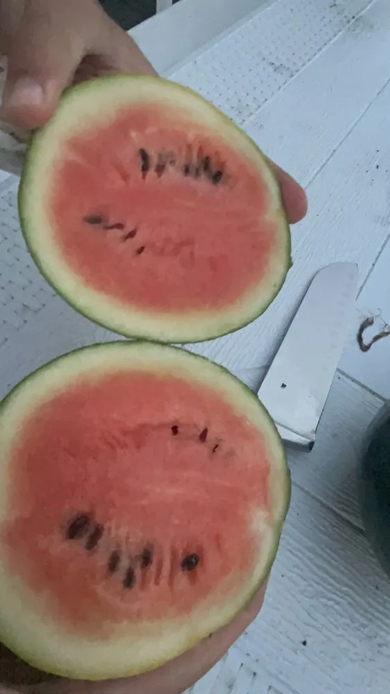 Affordable landscaping services near you in Bethpage, NY by Bobby Bravo’s