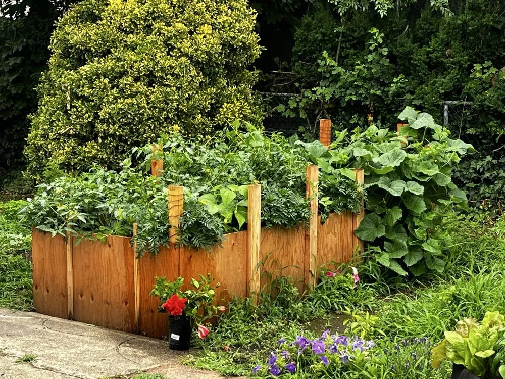 Trusted yard cleanup service for beautiful yards across Bethpage, NY - Bobby Bravo’s