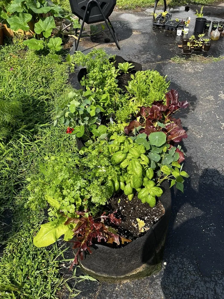 Local lawn care service experts serving Bethpage, NY - Bobby Bravo’s