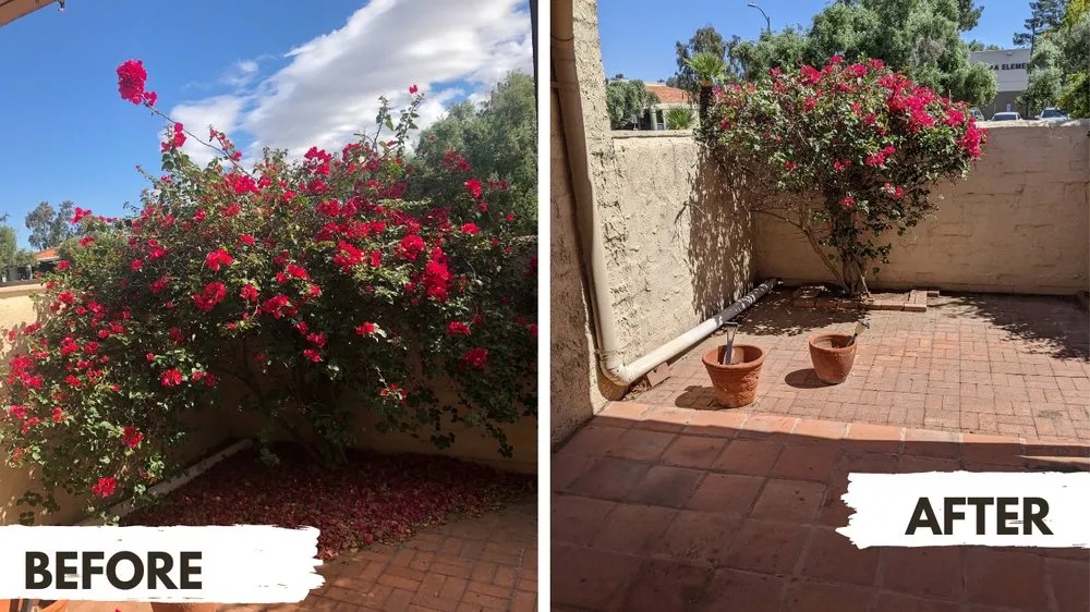 Reliable landscaping services in Scottsdale, AZ by Bobby B's Landscaping