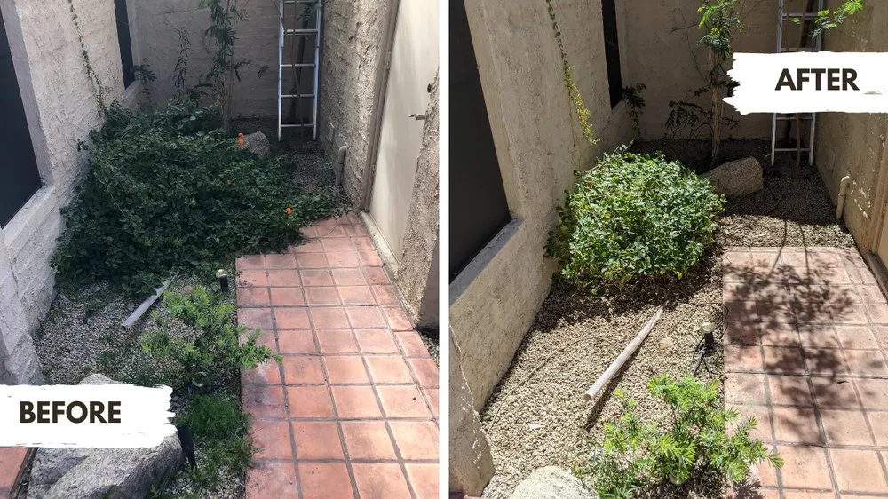 Top-rated landscape installation experts serving Scottsdale, AZ - Bobby B's Landscaping