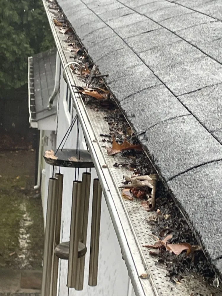 Expert yard maintenance in Richmond, RI by Bobby Czerwein