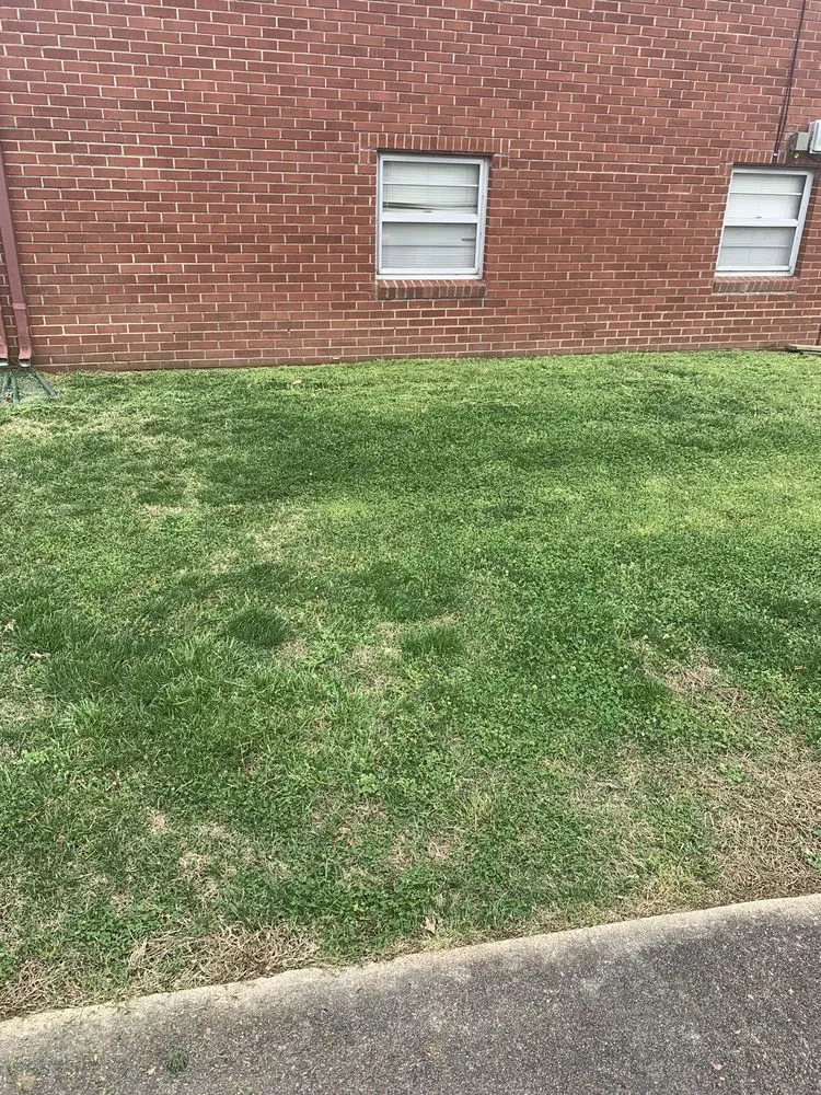 Custom landscaping services for year-round maintenance across Columbia, TN - Bobby Joes lawn service