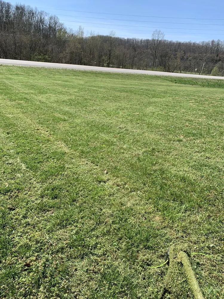 Expert yard cleanup service in Columbia, TN - Bobby Joes lawn service