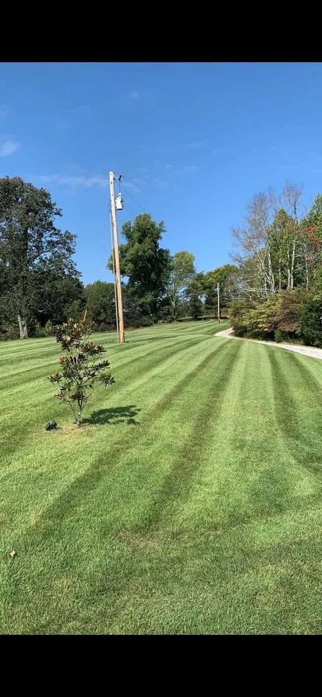 Reliable yard maintenance in Columbia, TN by Bobby Joes lawn service