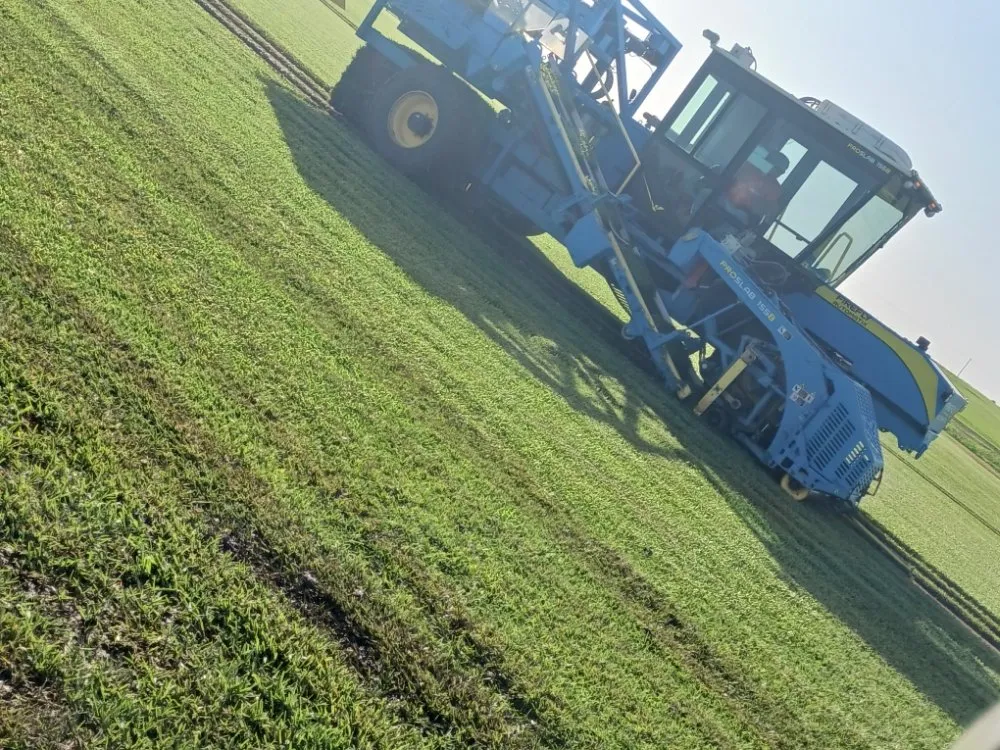 Trusted lawn care service for homes in San Antonio, TX by Bobbys Freshly cut Carpet Grass