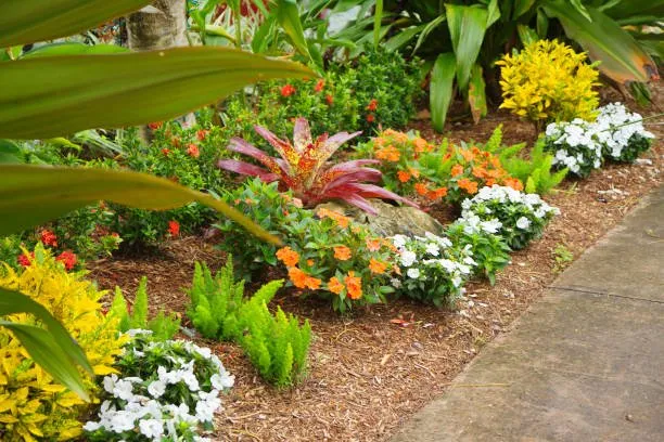 Local landscape design in Winter Haven, FL by Bobby’s Lawn Service
