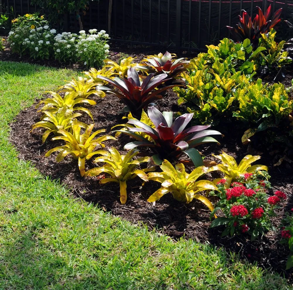 Local garden landscaping in Winter Haven, FL - Bobby’s Lawn Service