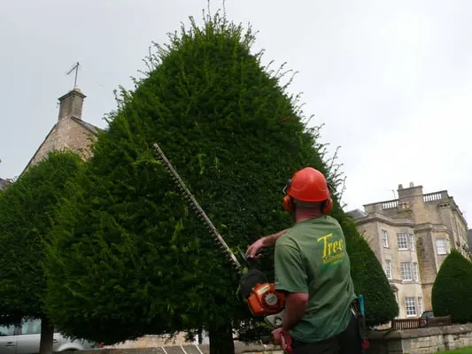 Bobby's Plant & Lawn Services Logo