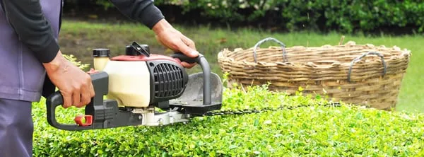 Bobcat Services & Landscape Logo