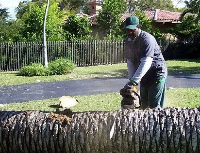 Expert outdoor landscaping for homes across Miami, FL - Bobmar Lawn & Tree Service