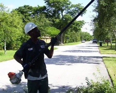 Local yard cleanup service in Miami, FL - Bobmar Lawn & Tree Service