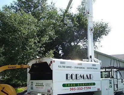 Affordable garden landscaping near you in Miami, FL by Bobmar Lawn & Tree Service