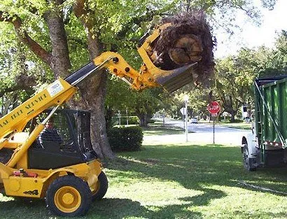 Affordable yard cleanup service in Miami, FL by Bobmar Lawn & Tree Service