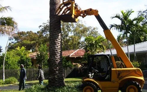Expert landscape design near you across Miami, FL - Bobmar Lawn & Tree Service