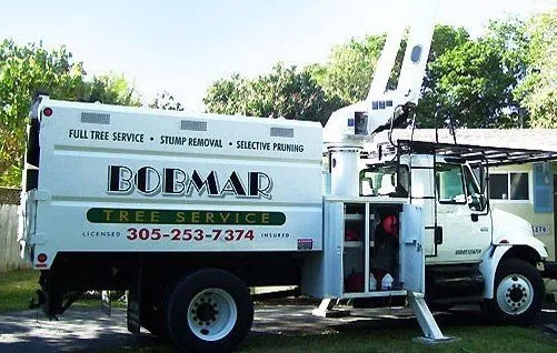 Trusted landscape design for beautiful yards across Miami, FL - Bobmar Lawn & Tree Service
