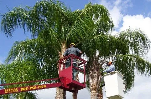 Affordable landscape design with custom design across Miami, FL - Bobmar Lawn & Tree Service