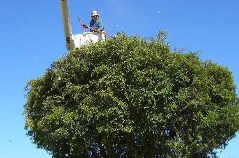 Expert garden landscaping experts serving Miami, FL - Bobmar Lawn & Tree Service