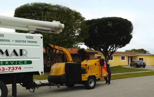 Expert lawn care service in Miami, FL by Bobmar Lawn & Tree Service