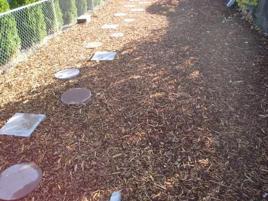 Bob's Apple Barrel Bark Logo