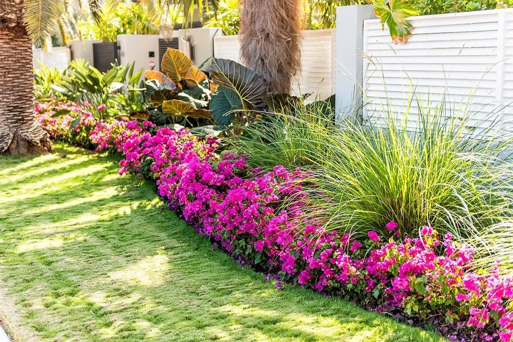 Professional yard cleanup service in Melbourne, FL by Bob’s Complete Landscape & Maintenance