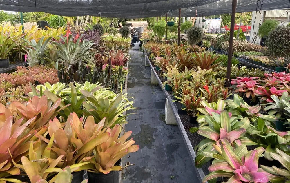 Reliable lawn care service in Fort Myers, FL by Bob's Horticulture