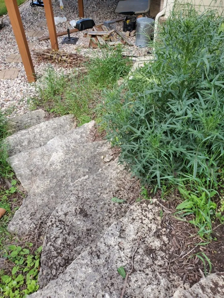 Expert lawn care service in Hartland, WI - Bob's Labor Service