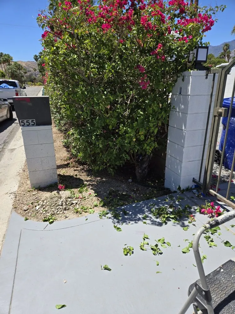 Custom residential landscaping for beautiful yards in Cathedral City, CA by Bob's Landscaping