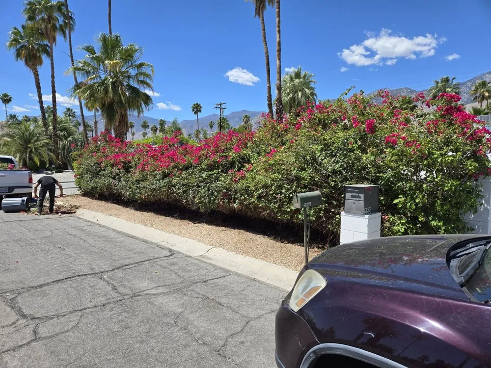 Reliable outdoor landscaping in Cathedral City, CA - Bob's Landscaping