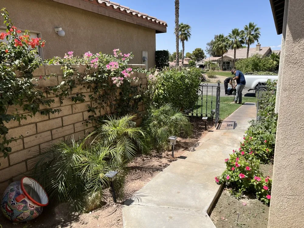 Expert yard maintenance for year-round maintenance across Cathedral City, CA - Bob's Landscaping
