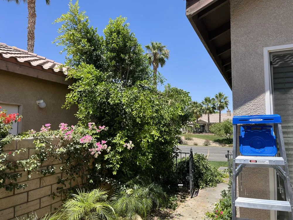 Expert lawn mowing service in Cathedral City, CA - Bob's Landscaping