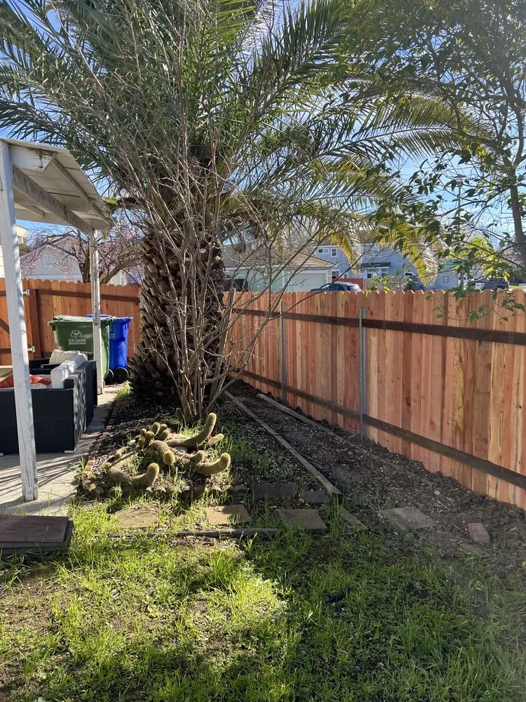 Professional garden landscaping in Elk Grove, CA - Bob’s Landscaping