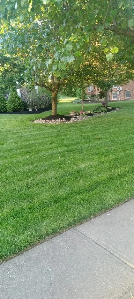 Affordable lawn care service experts serving West Chester Township, OH - Bob's Landscaping